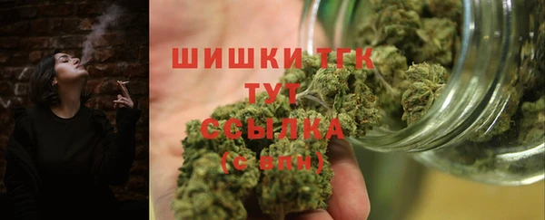 трава Бородино