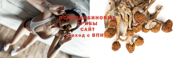 трава Бородино