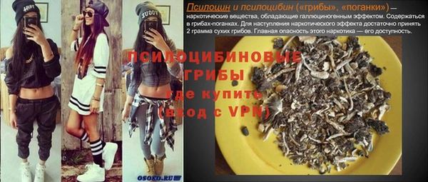 гидропоника Бугульма