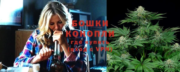 трава Бородино