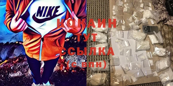 трава Бородино